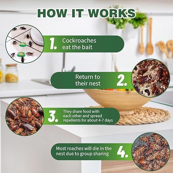 Cockroach Killer for Kitchens Bathrooms and Cabinets Eco-Friendly Home Remedy for Indoor Cockroach Control (Pack of 2)