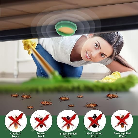 Cockroach Killer for Kitchens Bathrooms and Cabinets Eco-Friendly Home Remedy for Indoor Cockroach Control (Pack of 2)